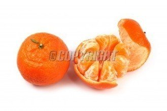 t011a1b747a967d75a6.jpg