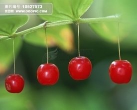 t012f822d4df6881d09.jpg