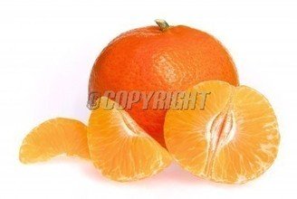 t013bdbadacdba5046e.jpg
