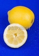 t014aa6d9bba39aa87b.jpg