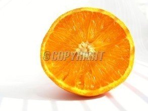 t017c50b0e49962e5b9.jpg