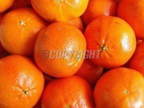 t018bafb8bcc7eacee0.jpg