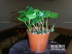 t019f042840e87d7746.jpg