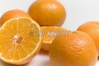 t0110a0a200eb636ee5.jpg