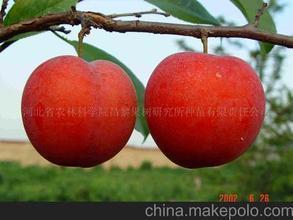 t0118cbb9f4d14dcbd8.jpg
