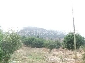t0129e10167cce819e4.jpg