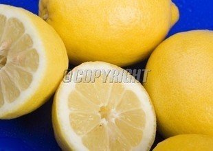 t0142e43c4128da5f40.jpg