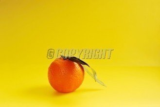 t0169eb78d4e17e28af.jpg