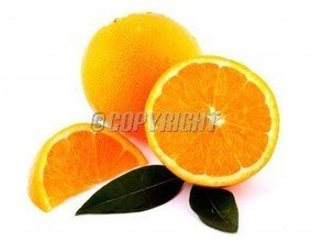 t0178a3d5b7ace4461f.jpg