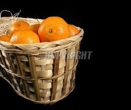 t0185db937cd687a0fe.jpg