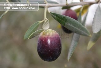 t01307e19abb0276d6f.jpg