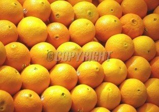 t01483ae514df3ae65d.jpg