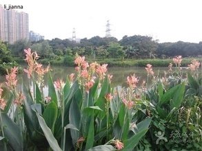 t01623e637c939ba8f9.jpg