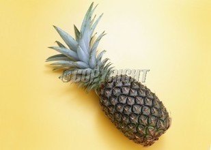 t010870aa5d99f64ac3.jpg