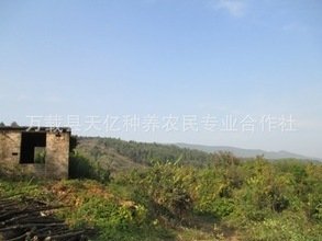t0116965035b6130ffc.jpg