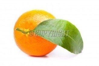 t01c2c09f77add1a212.jpg