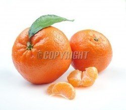 t011a5f2bdba8abe7d5.jpg