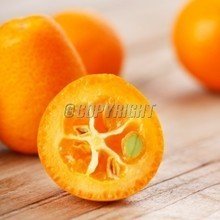 t017bf173b7f847bc26.jpg