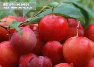 t0142c65f3b49cdb2ea.jpg