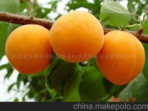 t01657ba82e87a7ffe3.jpg