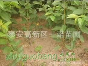 t01b7617fe3cec72a9c.jpg