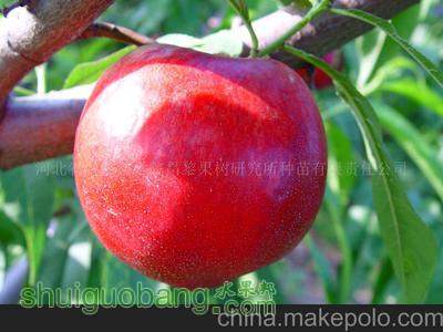 t01fe05471d54d5fee0.jpg