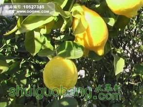 t015c0237c0d704230b.jpg