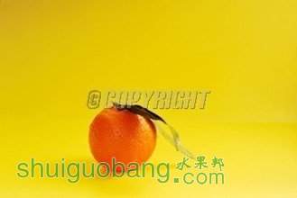 t0169eb78d4e17e28af.jpg