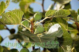 t01095f860aac82ffe8.jpg