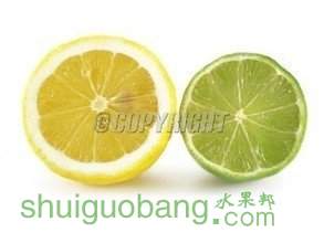 t01598a755ee388b4ce.jpg