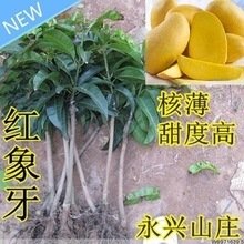 t01be36dae1dbec7a45.jpg