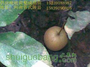t01d9deecd934cb16e5.jpg