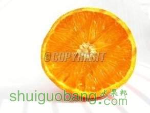 t017c50b0e49962e5b9.jpg