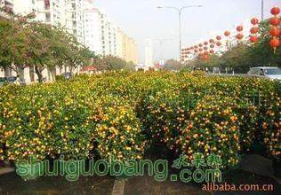 t01b5bb0c8c986b625e.jpg