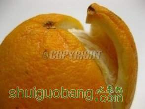 t01a140be34bfc43a51.jpg