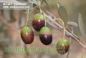 t01bba8b4b89a8069e8.jpg