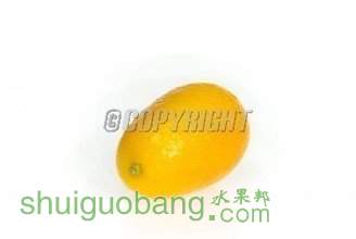 t01724dfa90e9afd36e.jpg