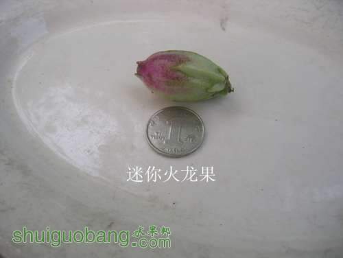 IMG_0460_.jpg