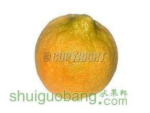 t01a7abbabce3f02ec5.jpg