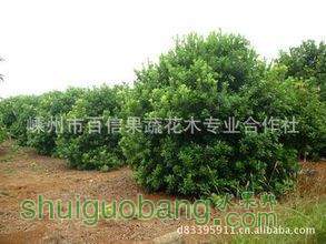 t01a9d1a692cb753969.jpg