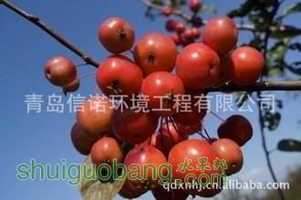 t01af6cb16c98ce463e.jpg