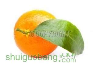 t01c2c09f77add1a212.jpg