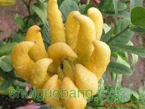 t01fda6c88cc384b3a5.jpg