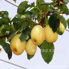 t011cbf84ac55cd96b7.jpg