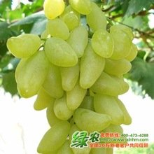 t012ec5fdde3a62dc31.jpg