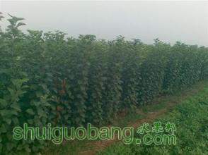 t014cfc48b8db619a5b.jpg