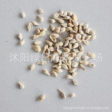 t014d5b335f61b3be40.jpg