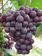 t015e9bac9a842103b3.jpg