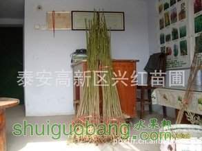 t019ce524ecda0ec617.jpg
