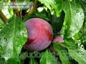 t0149a70f7b095ecdd1.jpg